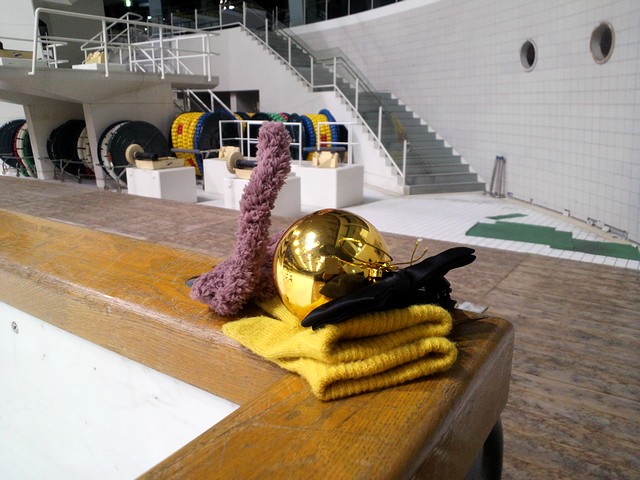 今日は猫の日。昨日の新潟のPL杯で使った衣装があったのでスケート