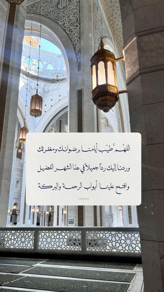 _mzdanh's tweet photo. https://t.co/sWBjZZB0mH
