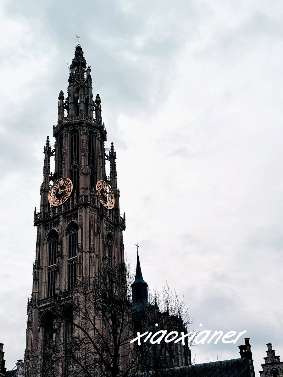 北京夫妻小仙儿 tweet media