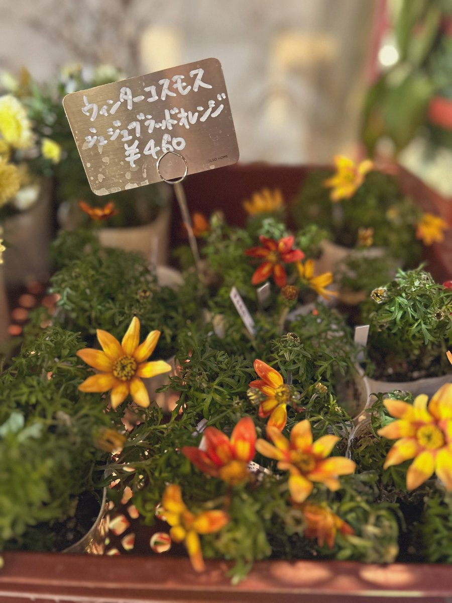 o3__kuse's tweet photo. #日常垢 https://t.co/cN7oBYKzfD