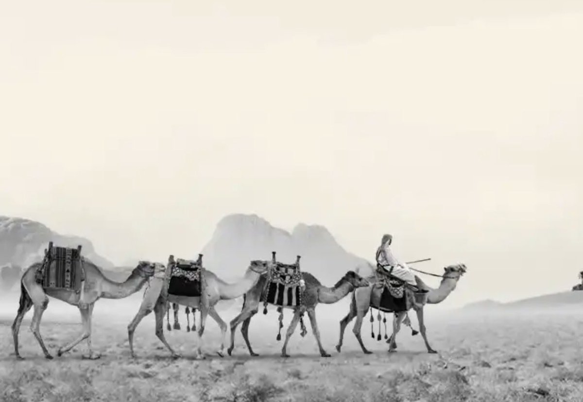 barodi999's tweet photo. #يوم_التاسيس مناسبة نستلهم بها بكل فخر واعتزاز العمق التاريخي والجذور الراسخة منذ التأسيس. https://t.co/biCwxJPFQN