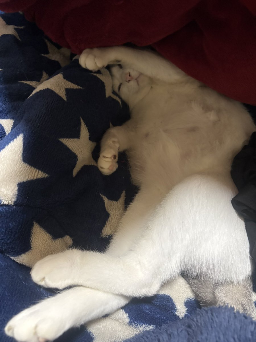 @$tunpoko$ tweet media