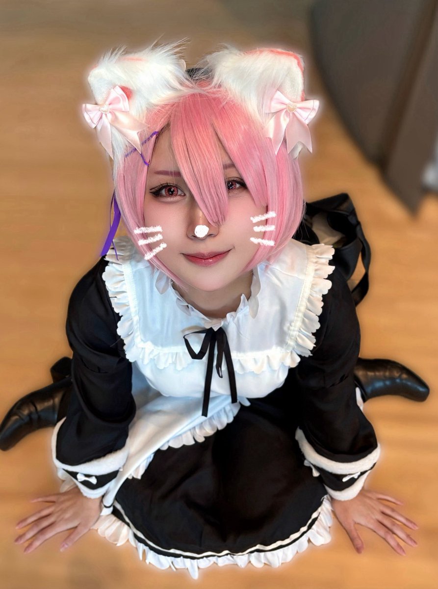 にゃんにゃんの日だよ！！！！！