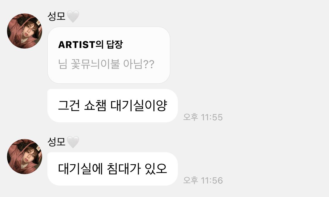 모냥이 tweet media