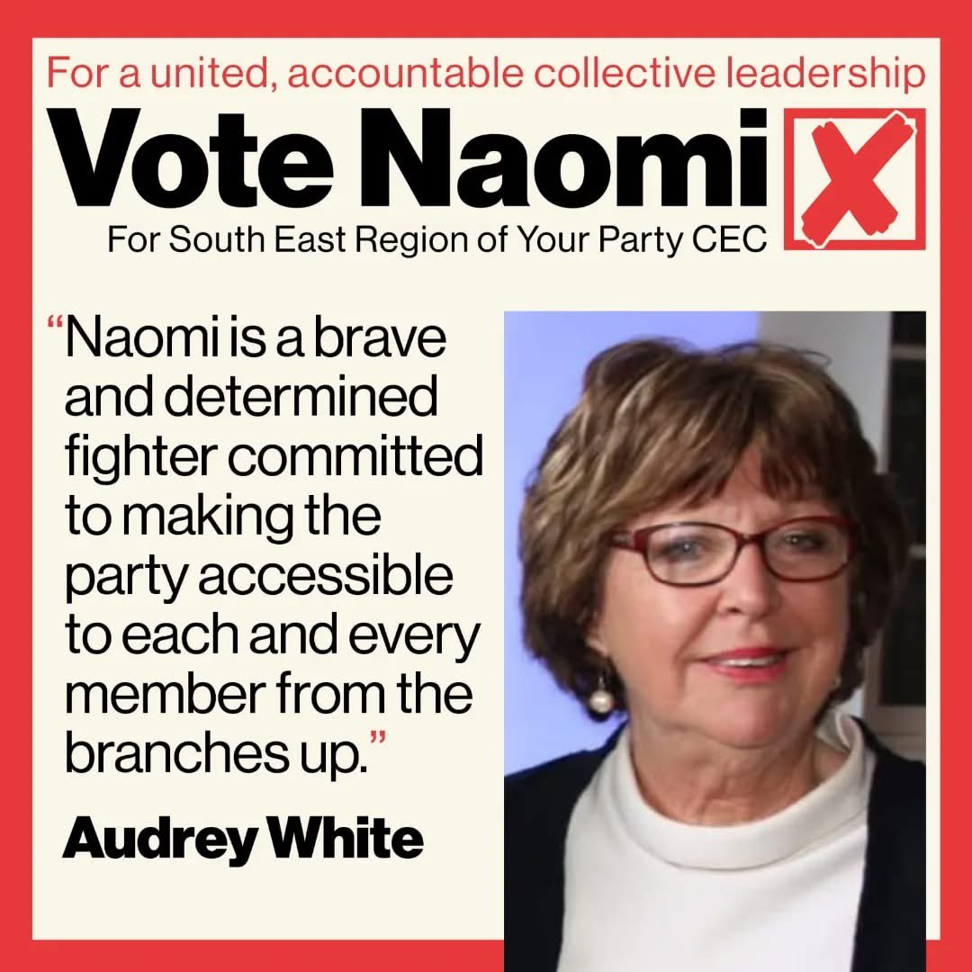 Platform for a Democratic Party tweet media