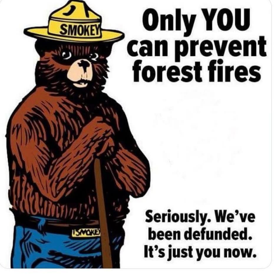 danimac67 🇺🇸 🇨🇦 🇬🇧 tweet media