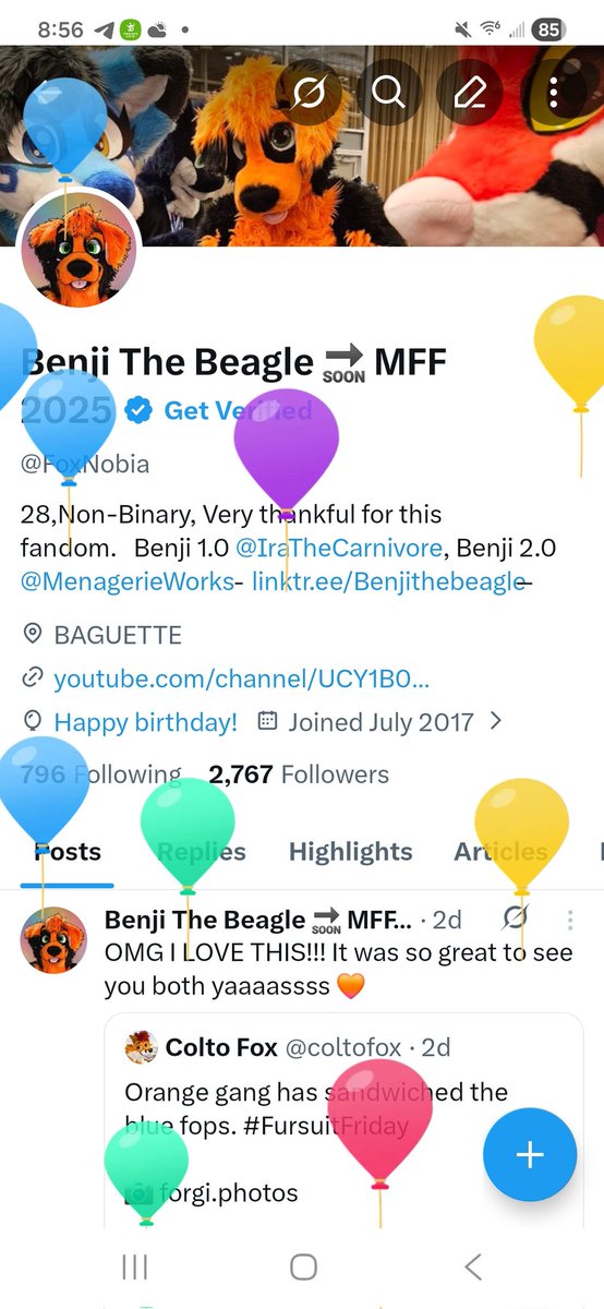 Benji The Beagle 🔜 MFF 2025 tweet media
