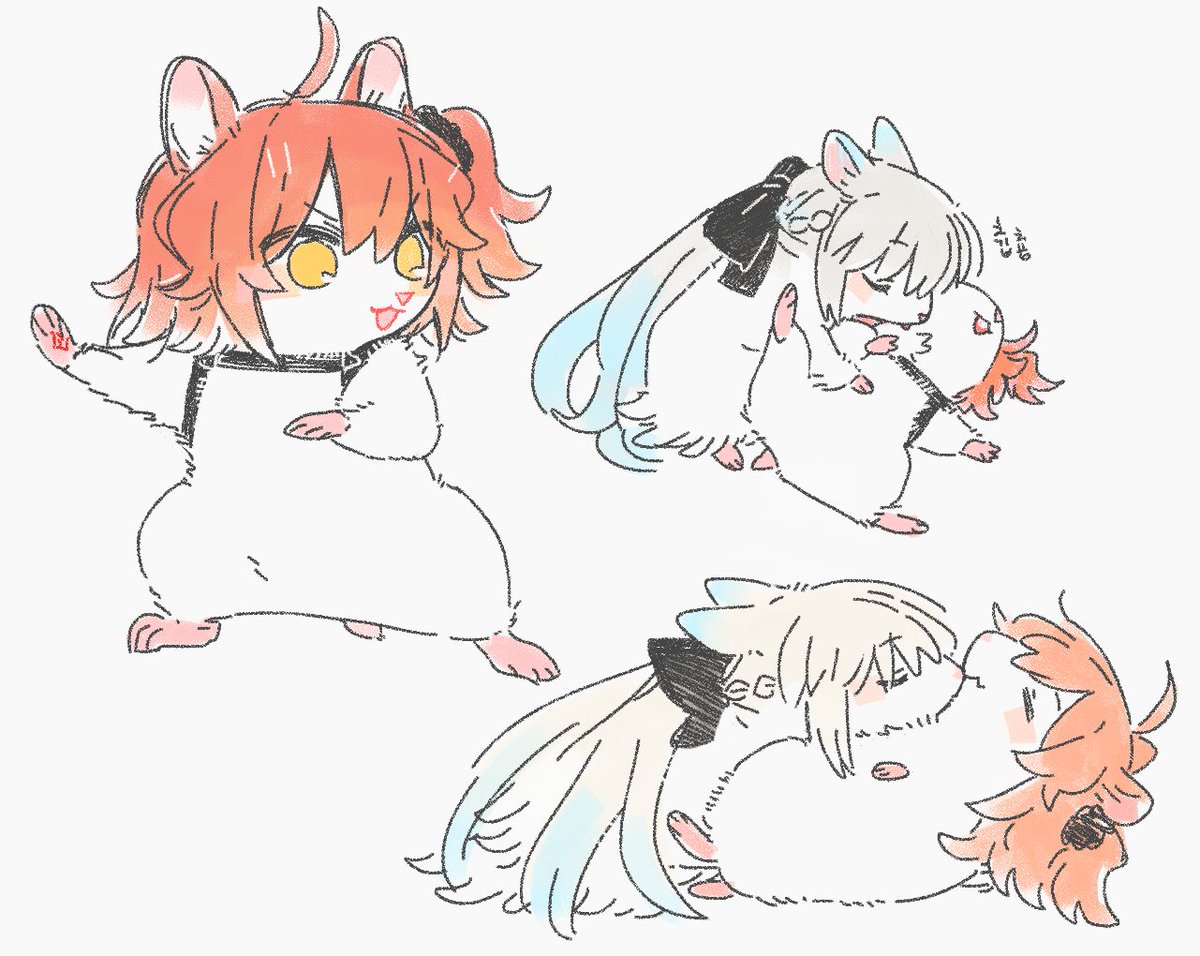 RaPOP_FGO's tweet photo. 햄햄 https://t.co/iyIwW2R9I6