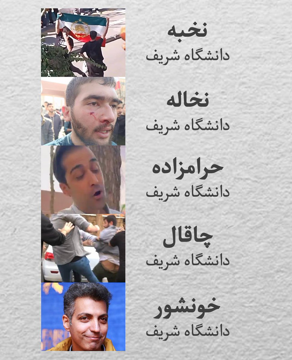 موژی tweet media