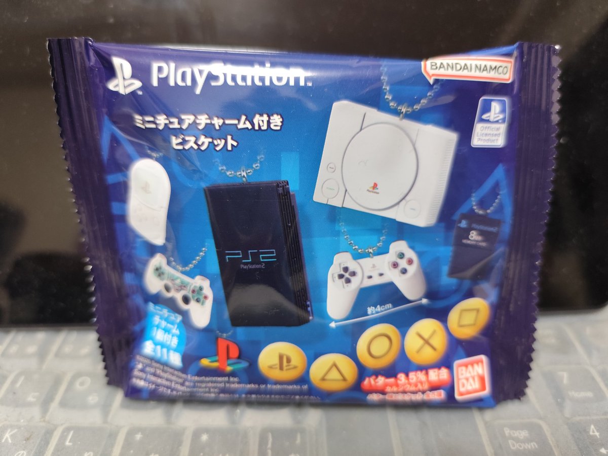 ついに手に入れたぞー！！！！