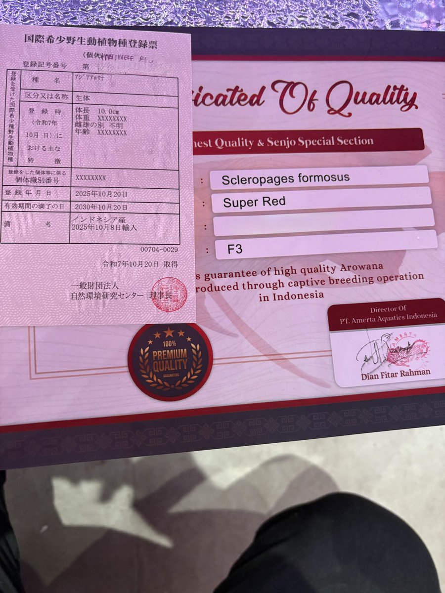 本日も沢山のお客様に御来店頂きありがとうございました。
津市のお客様に紅龍を購入して頂き、近所の変態マニアの社長にはエサを購入して頂きました。
明日三連休最終日に福井県からの来店です、気を付けて来て下さいね。