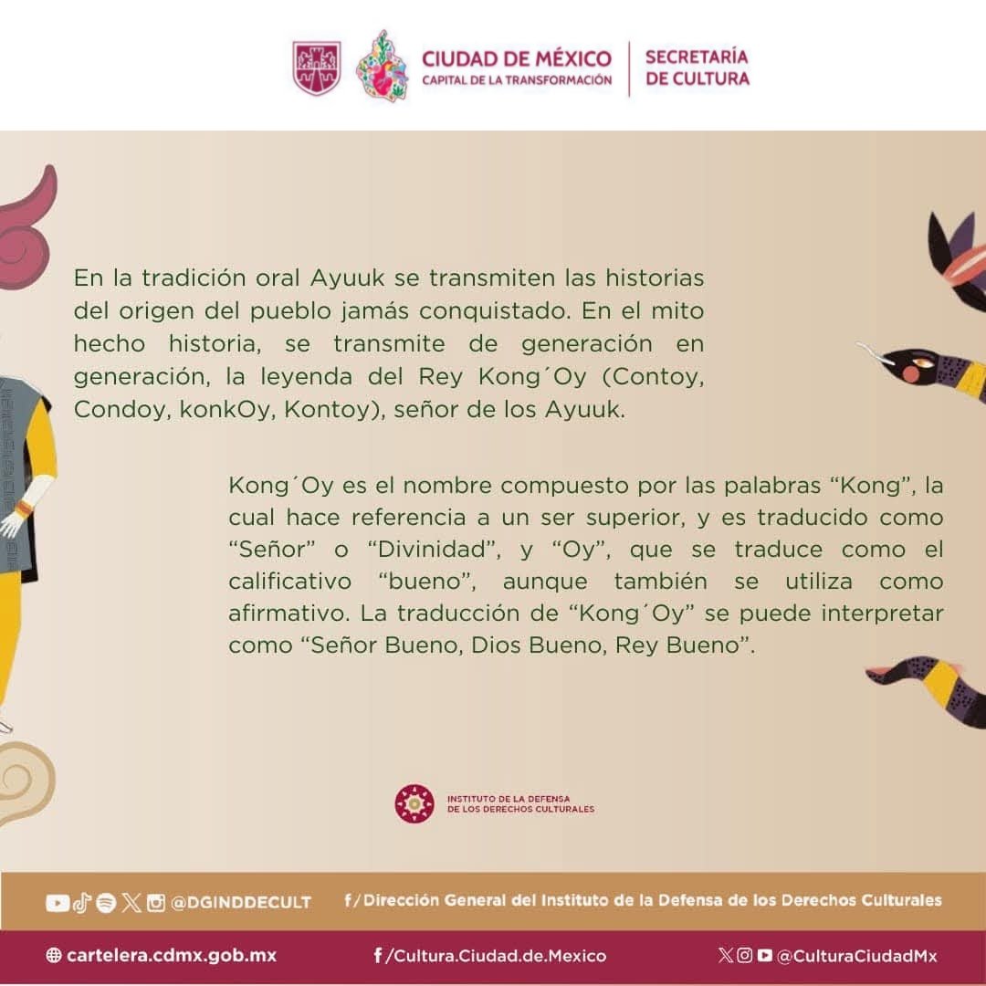 Instituto de la Defensa de los Derechos Culturales tweet media