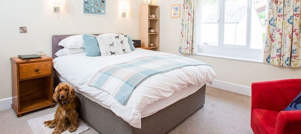 aroundaboutbrit's tweet photo. Stay with your Dog @ Westleigh B&B in Devon.
Westleigh Bed & Breakfast in Beer, Devon, offers magnificent B&B accommodation in a welcoming, dog friendly setting.
https://t.co/KOIIlNRTA9
#WestleighBandB #BeerDevon #DogFriendly #Devon #Getaway #Seaside
@westleighbeer https://t.co/DgyRcg4BAN