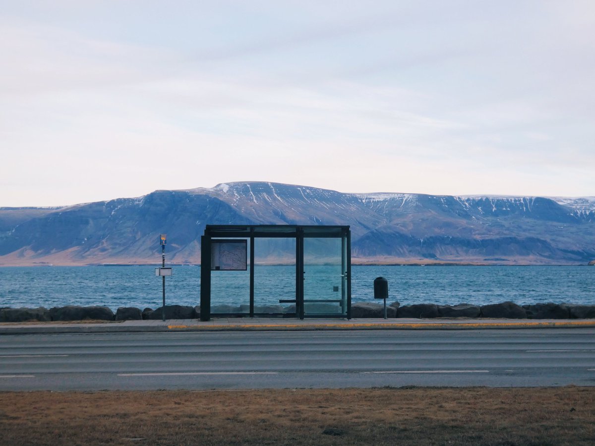 todas mis amigues army me han dicho que esto es YNWA but make it icelandic