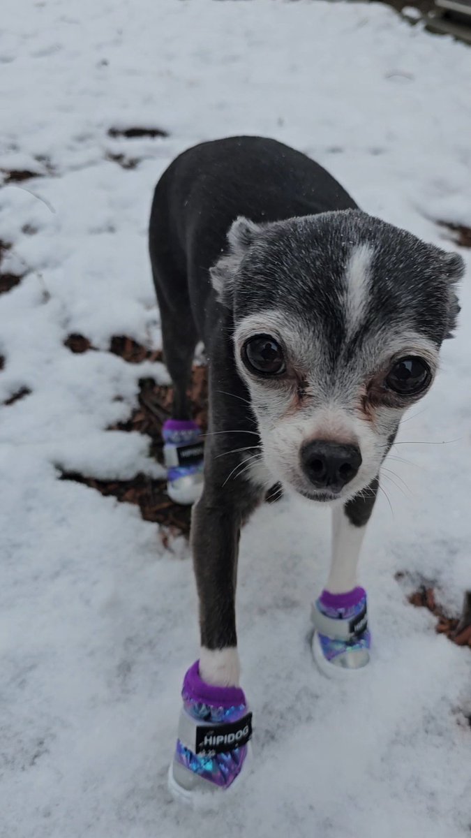 🔮 Matroda 🔜 AC 🔮 tweet media