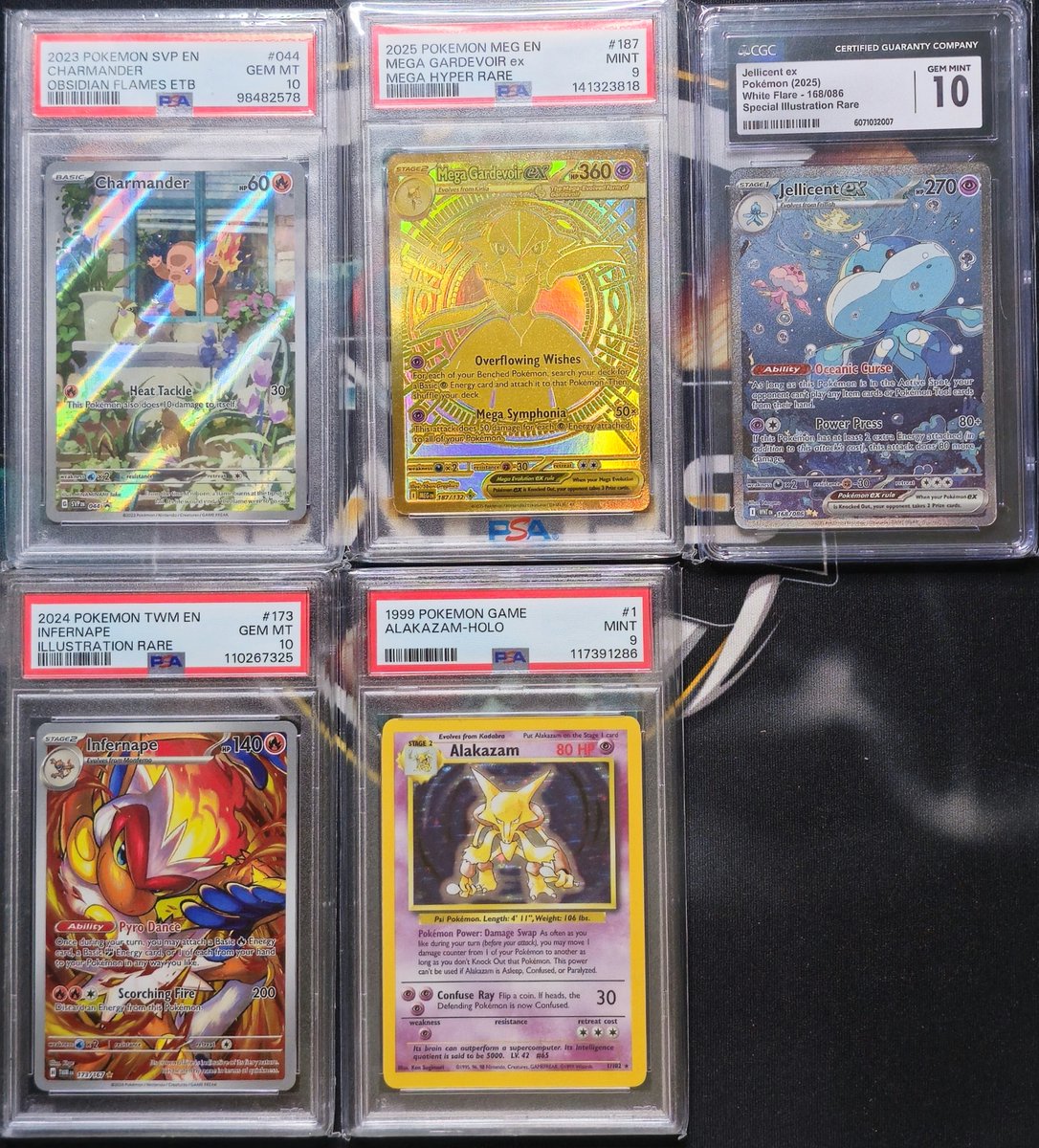 NoFlo Cards Enzo tweet media