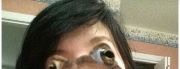 عــز . tweet media