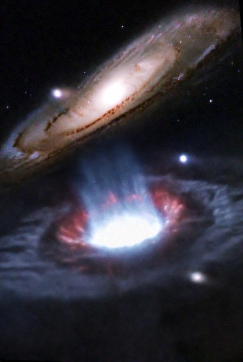 The WatchMan tweet media