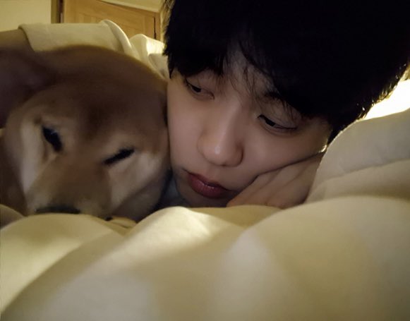 bunnychive's tweet image. 수빈이랑 토리 🤍