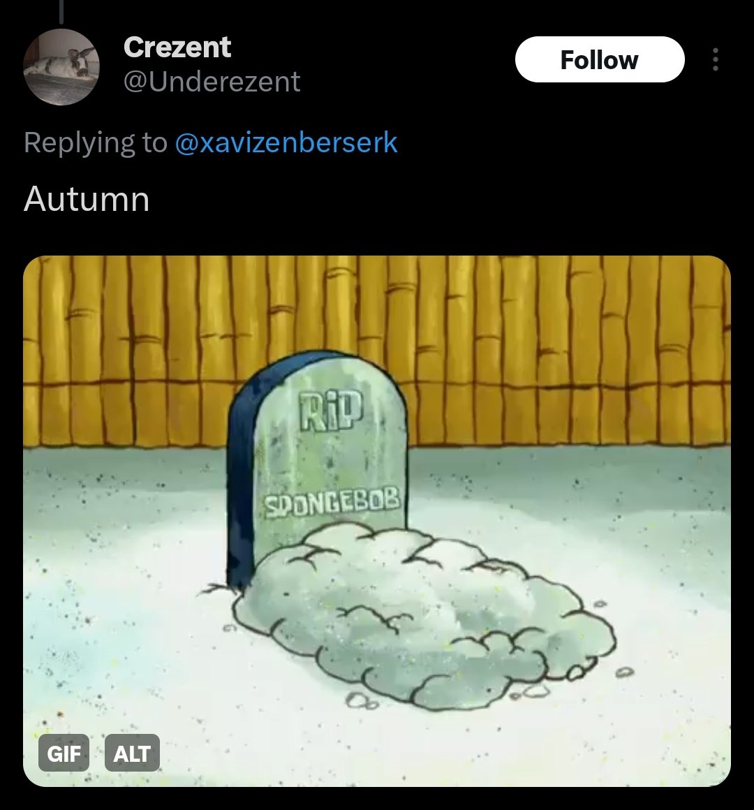 Gunnorreas dando Cringe (@cringgunn2) on Twitter photo 