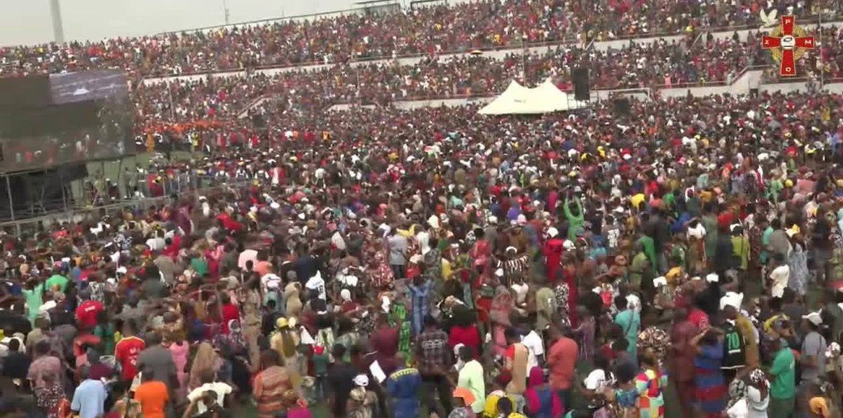 Queen Bee 👑 🐝 tweet media