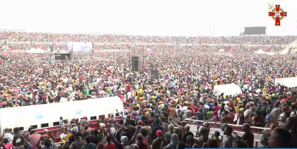 Queen Bee 👑 🐝 tweet media