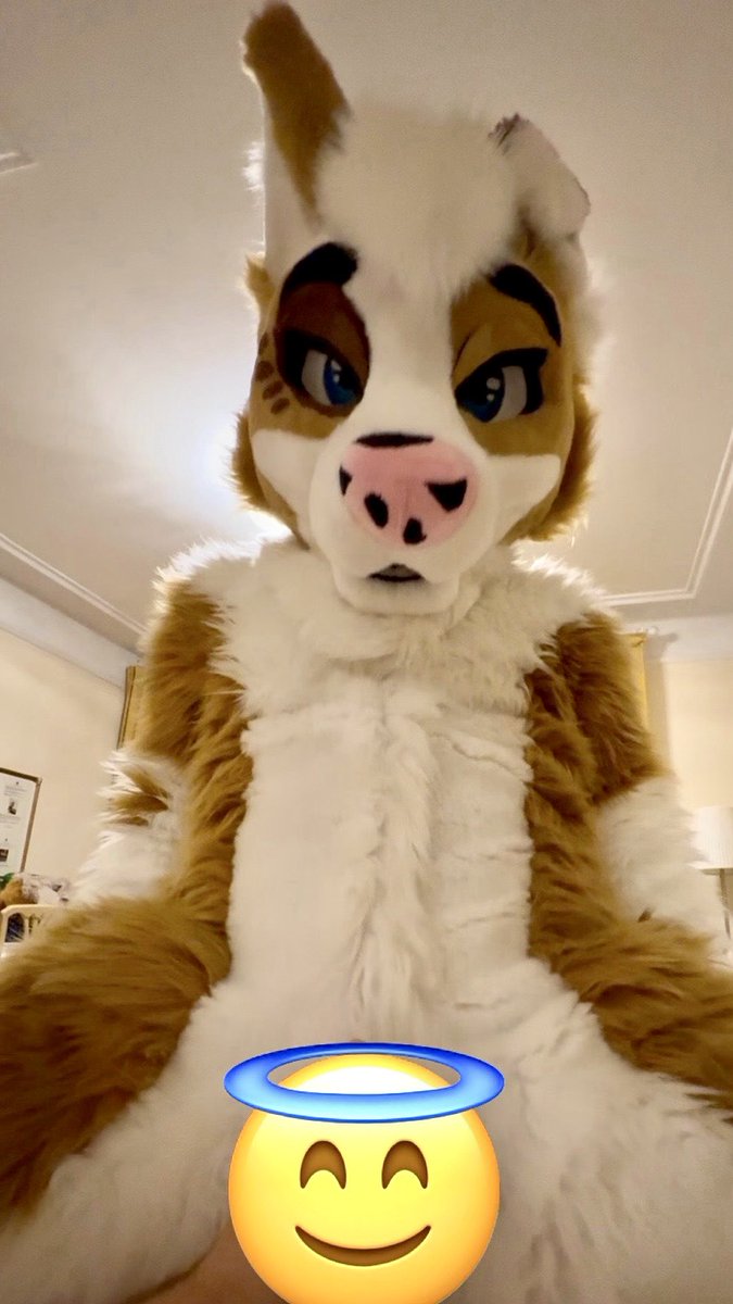 Marvin 🌃🕛🐕‍🦺 🔜 NFC tweet media