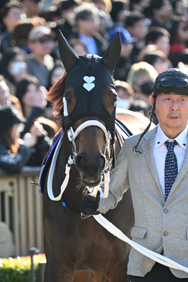 もんちゃん＠写真垢 (@mnch_pic) / Posts / X