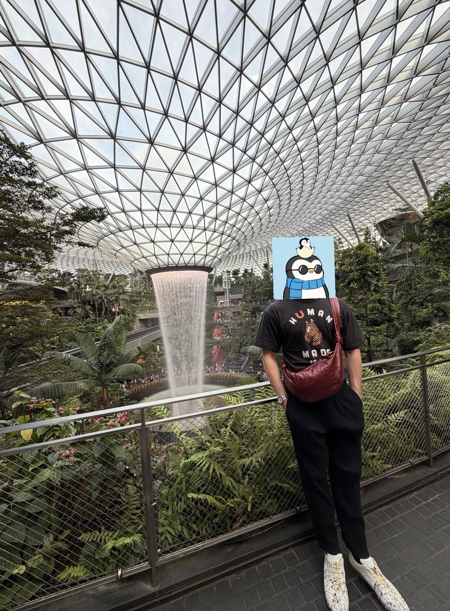 Damien (hmu for cracked Devs) tweet media