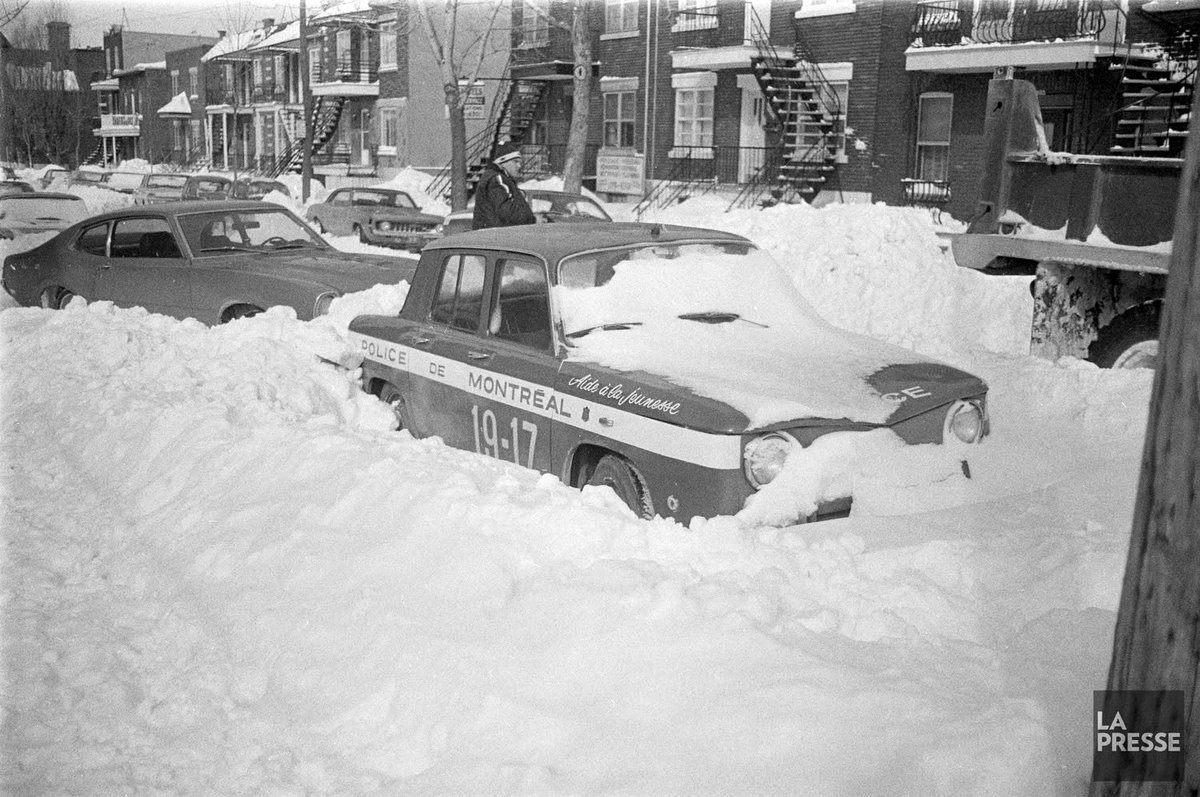 Diane H. 📚👜🛋 tweet media