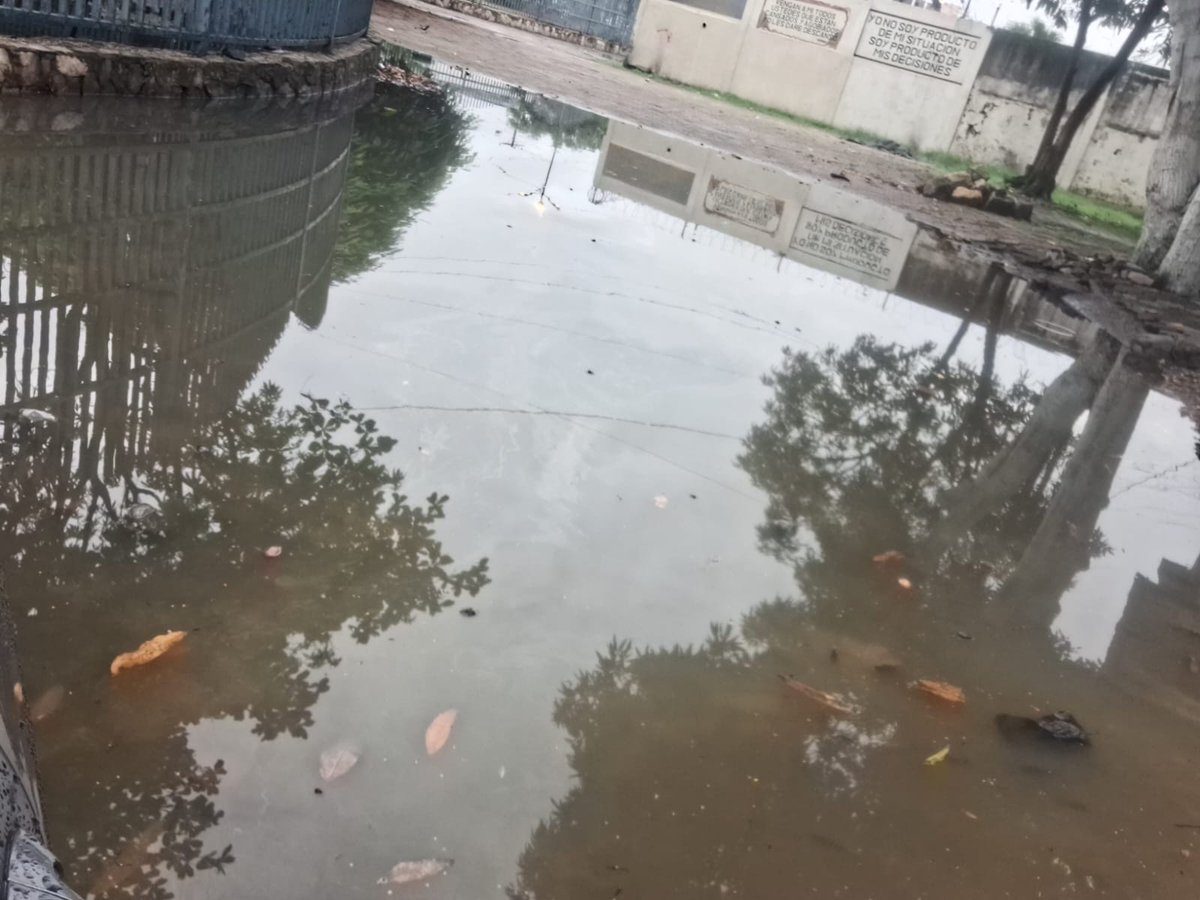 jujitsu_ec's tweet photo. @taticoronelf Hola estimada alcaldesa @taticoronelf ayúdenos al sector del puerto Liza por el parque acuático hay una laguna que da más arriba de la rodilla ya estuvieron los de interagua no dieron solución y los mosquitos demasiado y no hay luminaria  #ayuda #alcaldesa #ec #Salud #seguridad https://t.co/eTMnO9CiTA