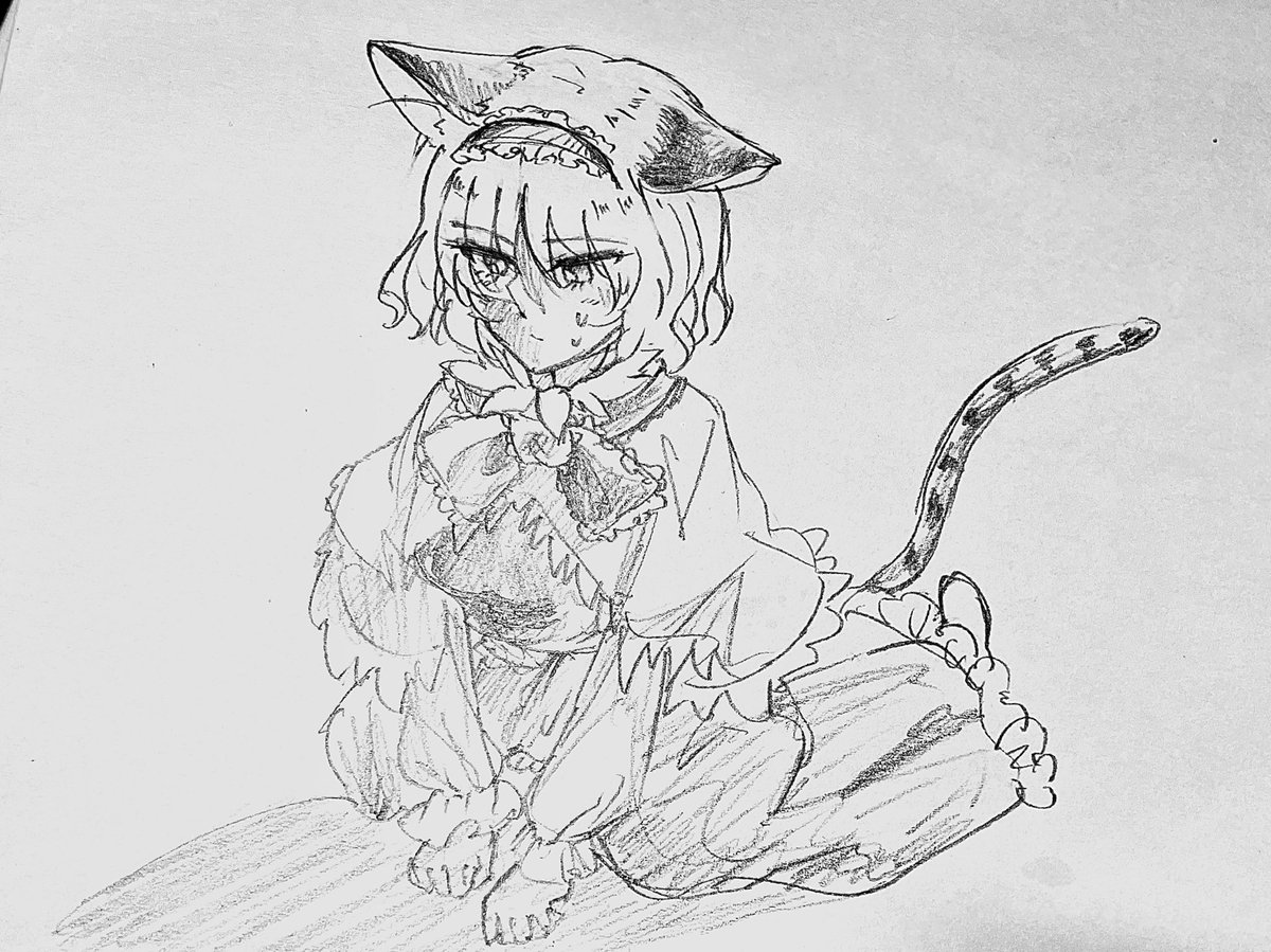 きじとらかつイカ耳。（🎧ナナシ）