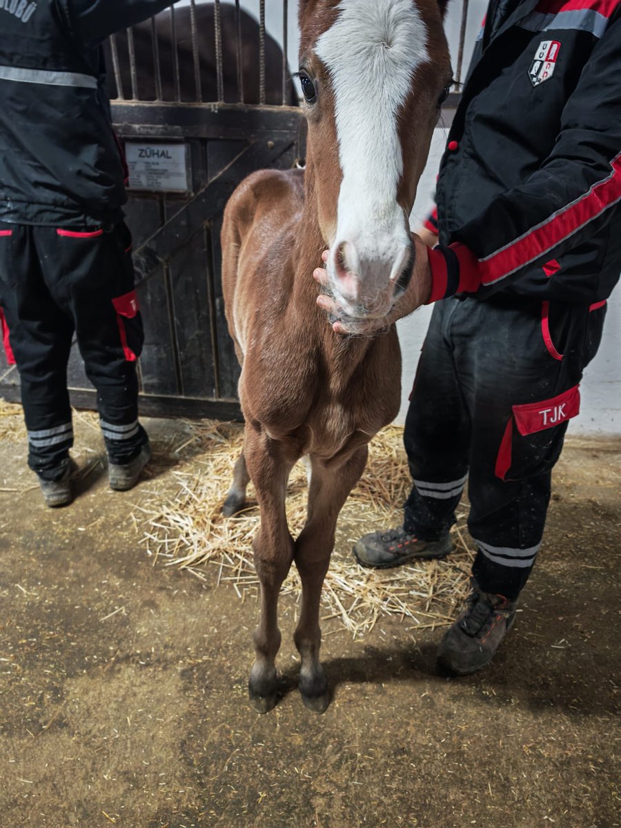 Cem Diler tweet media