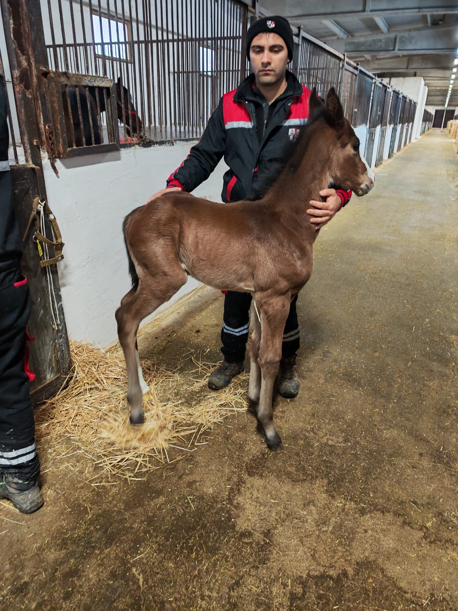 Cem Diler tweet media