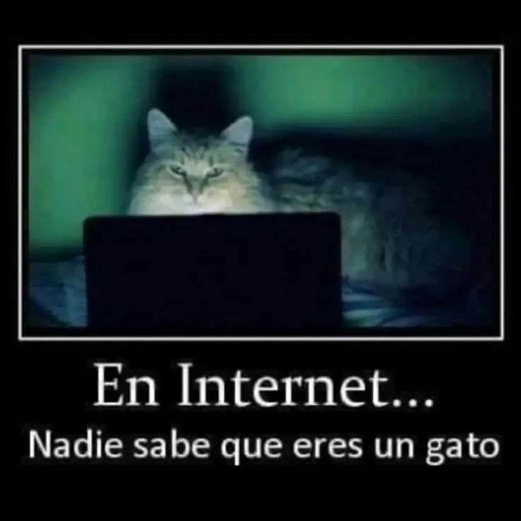 yosuba (@coolfunnnn) on Twitter photo 