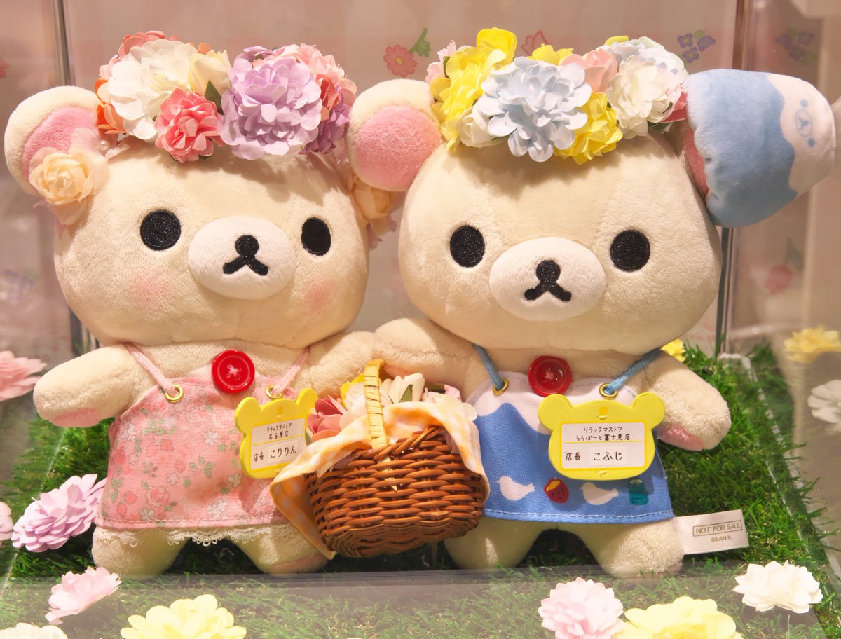 2/22 こりりん店長＆こふじ店長 別ショット📷 #リラックマストア店長