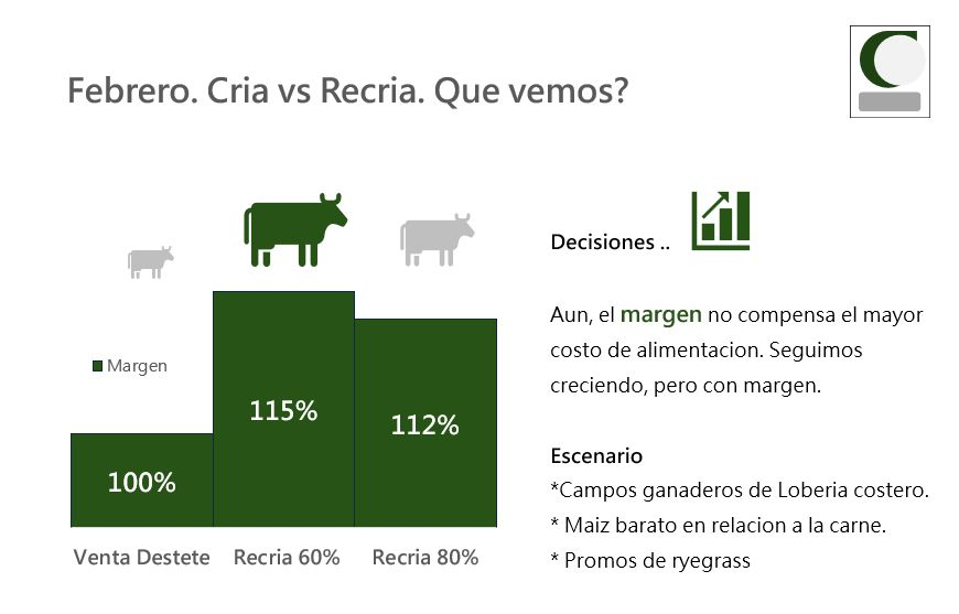 HugoMiraMar's tweet photo. Estamos con una excelente #Ganaderia. En campoa #mixtos del #Sudeste explica hasta el 25% del #Resultado. Podemos aumentar la posicion #recria para #Crecer?. Vimos que con los costos #economicos y #financieros de Febrero, #conviene #Recria del 60% de los ternerxs. https://t.co/QnvXByXLP3
