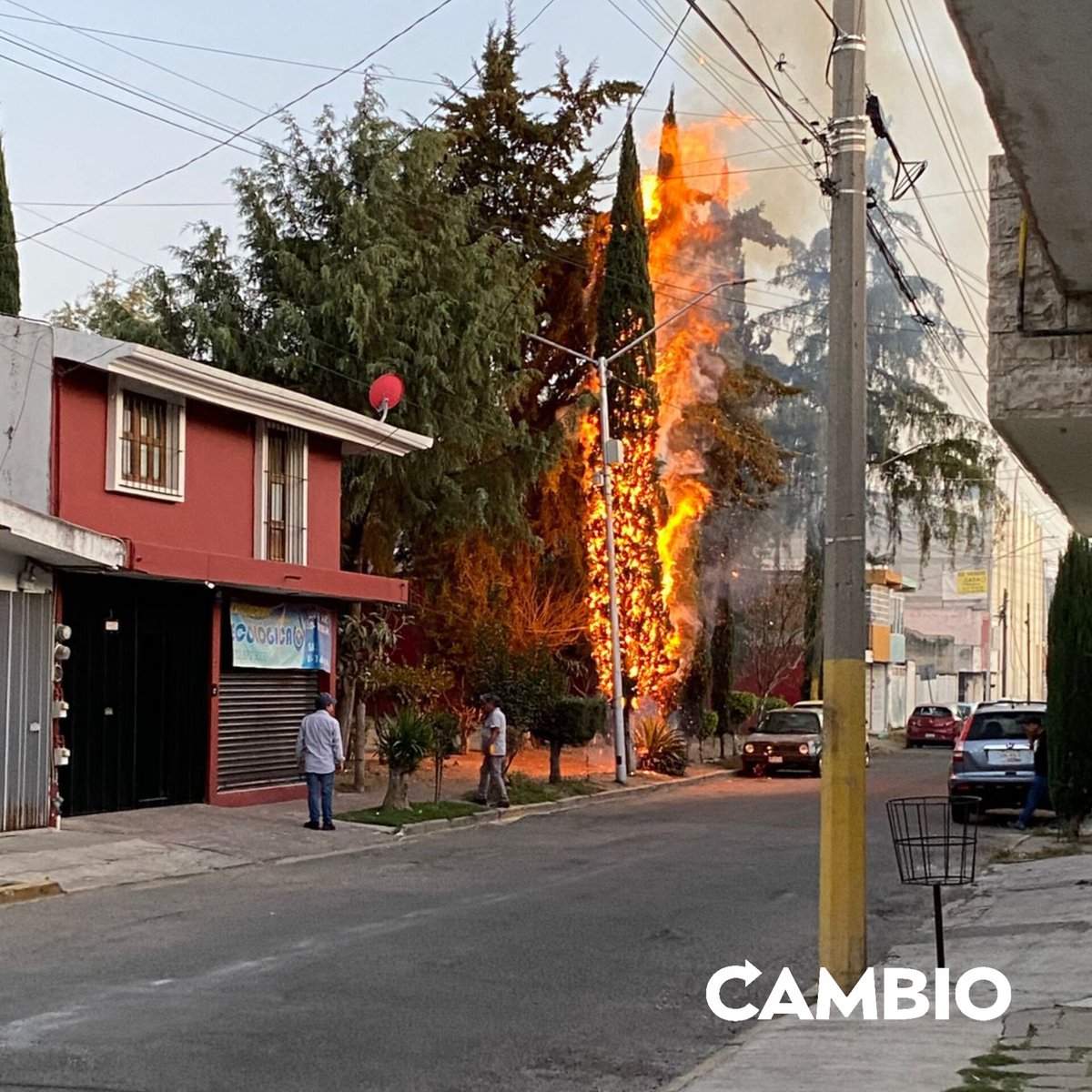 Diario_Cambio's tweet photo. 🔴#Entérate | Vecinos del fraccionamiento Plazas Amalucan identificaron a este sujeto como el presunto responsable de haber incendiado árboles durante la tarde de ayer. Exigen a las autoridades dar con su paradero y que se apliquen las sanciones correspondientes, dado a que, el fuego estuvo a punto de alcanzar viviendas.

#diariocambio #Puebla