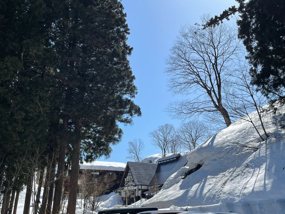 Julia Longbottom tweet media