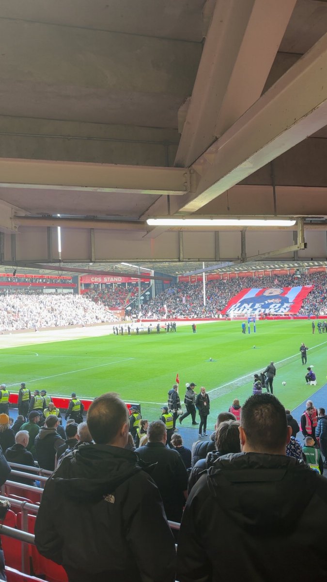 Sam🦉🇩🇰 tweet media