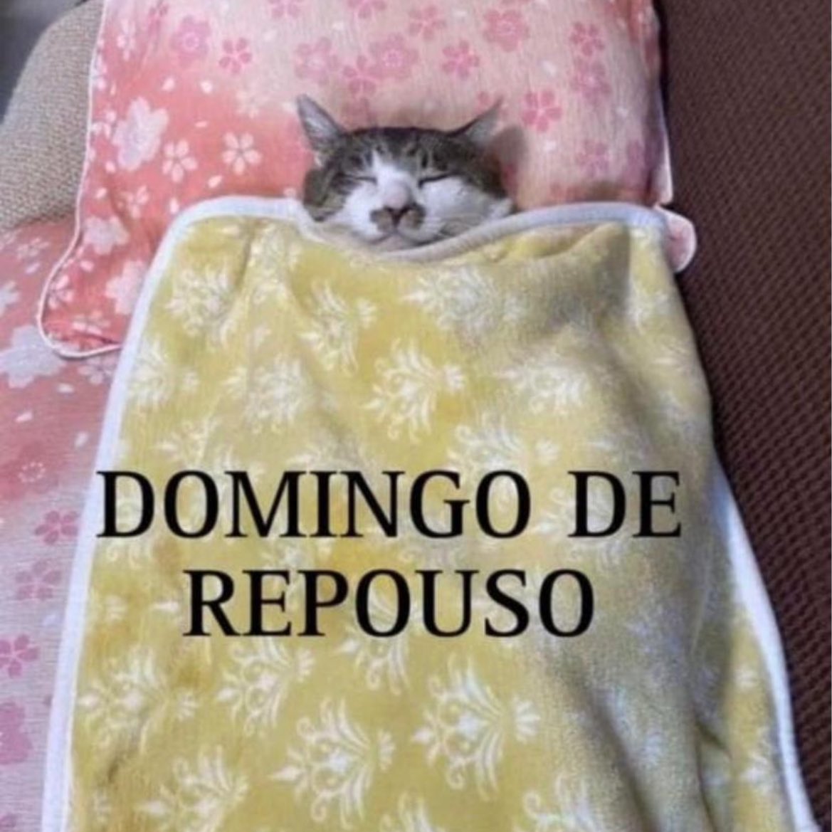 P*rra de cv mlq tu mora em apartamento carlho tweet media