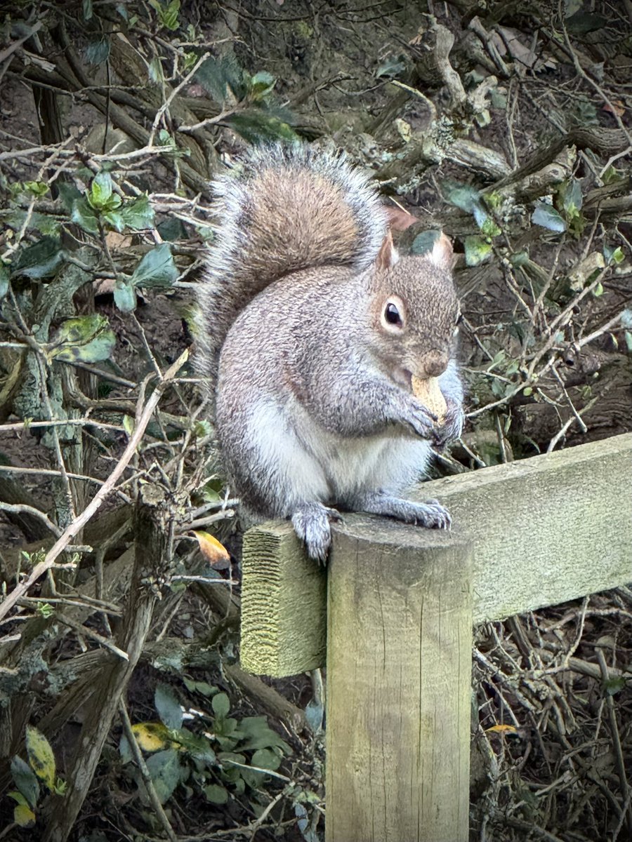 Rob Butterfield tweet media