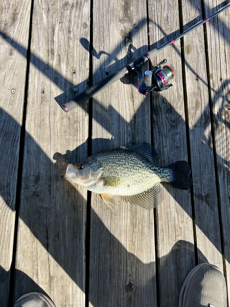 David Jones tweet media