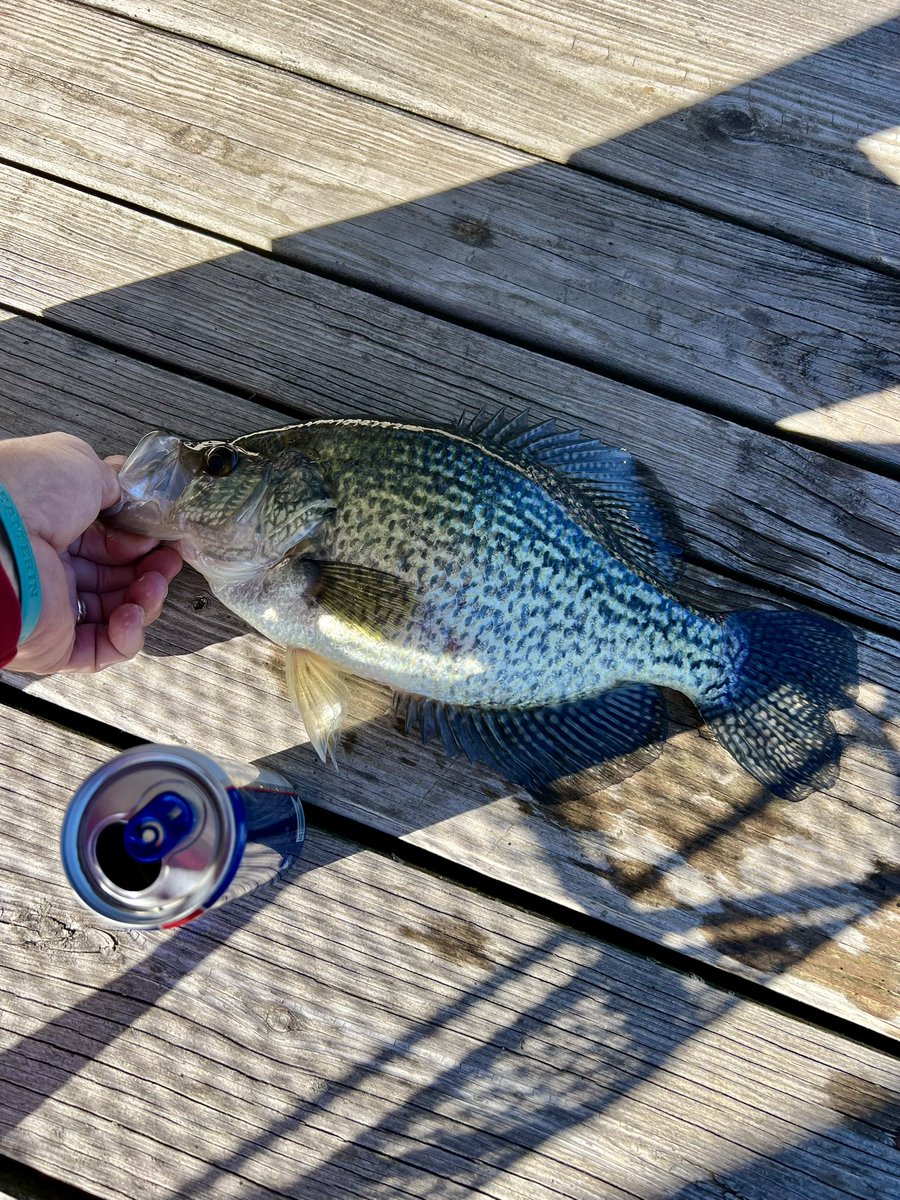 David Jones tweet media