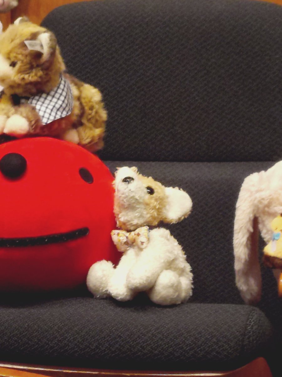 ばけばけ tweet media