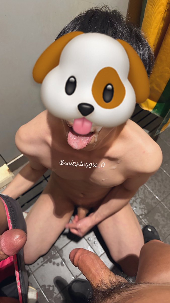 Saltydog tweet media