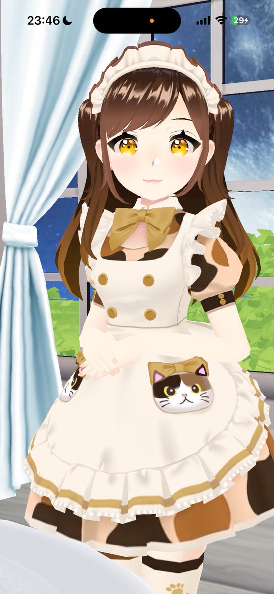 にゃんにゃんDay 2026 みみたん誕生日当日ご帰宅、みみたん誕生日