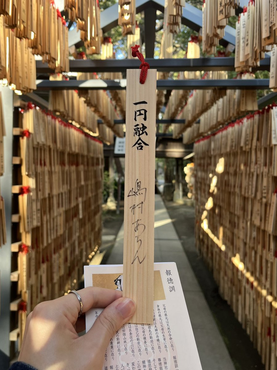 嶋村あらん tweet media