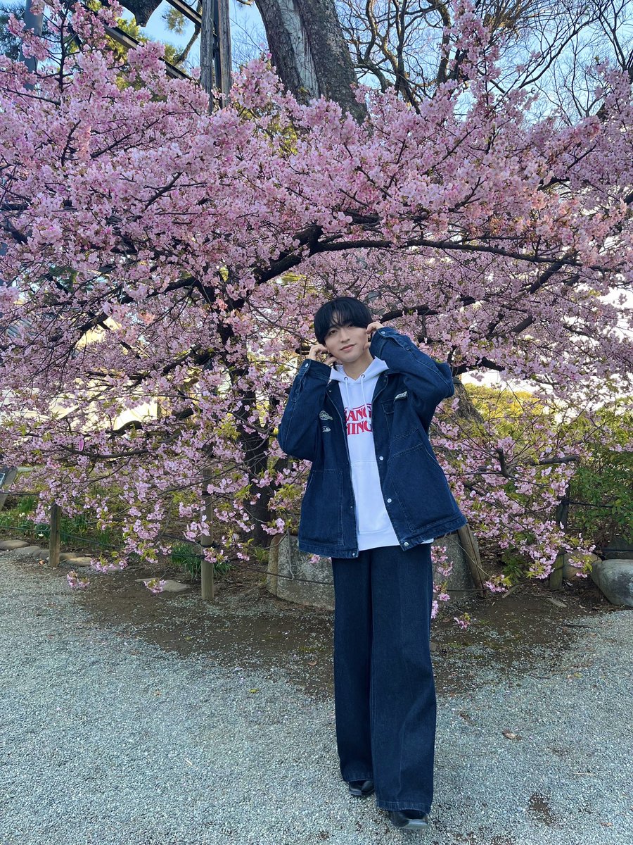 嶋村あらん tweet media