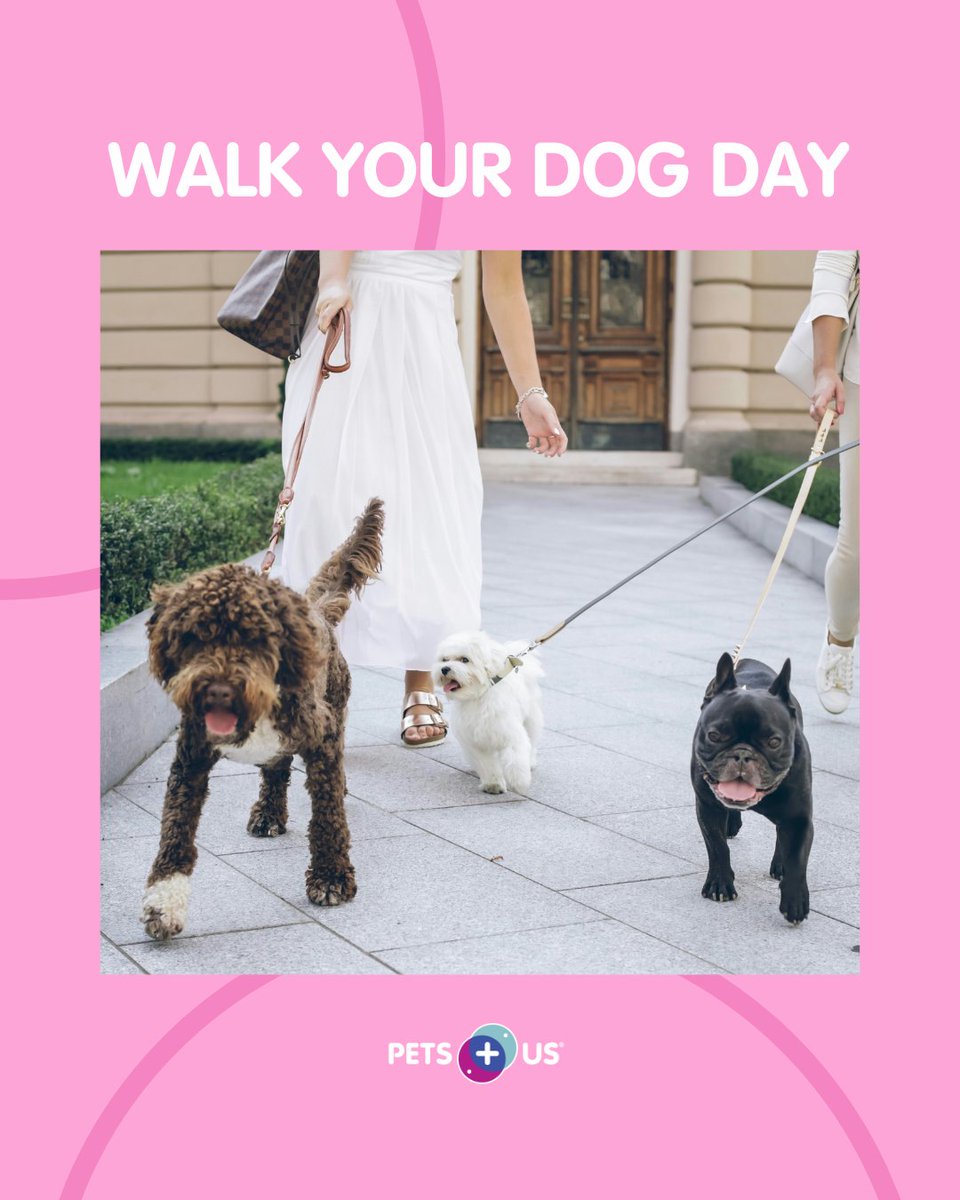 Pets Plus Us tweet media